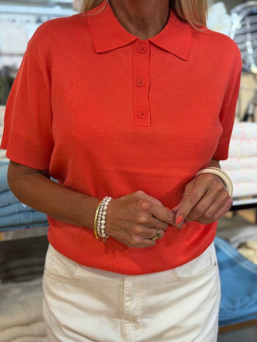 Luls Polo Ichi 